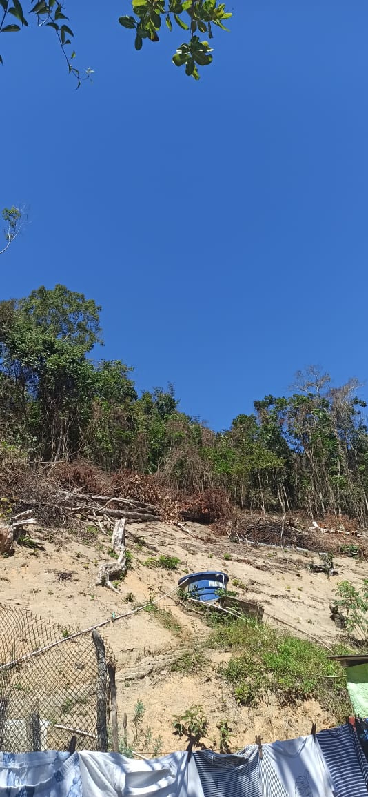 Crime contra a flora é identificado em Silva Jardim após denúncia