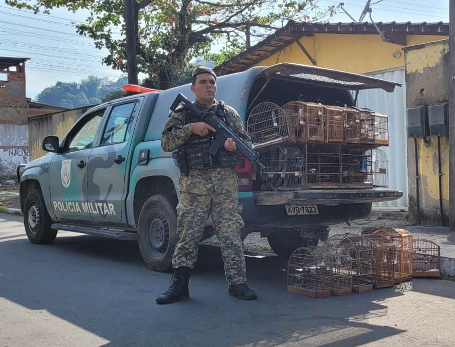 Polícia apreende 14 pássaros em Cachoeiras de Macacu 