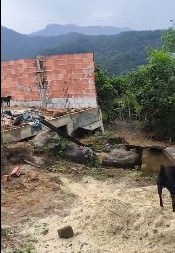 Imagem da Notícia