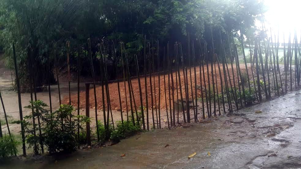 Linha Verde leva policiais a checarem denúncia de desmatamento e aterramento em Campo Grande    