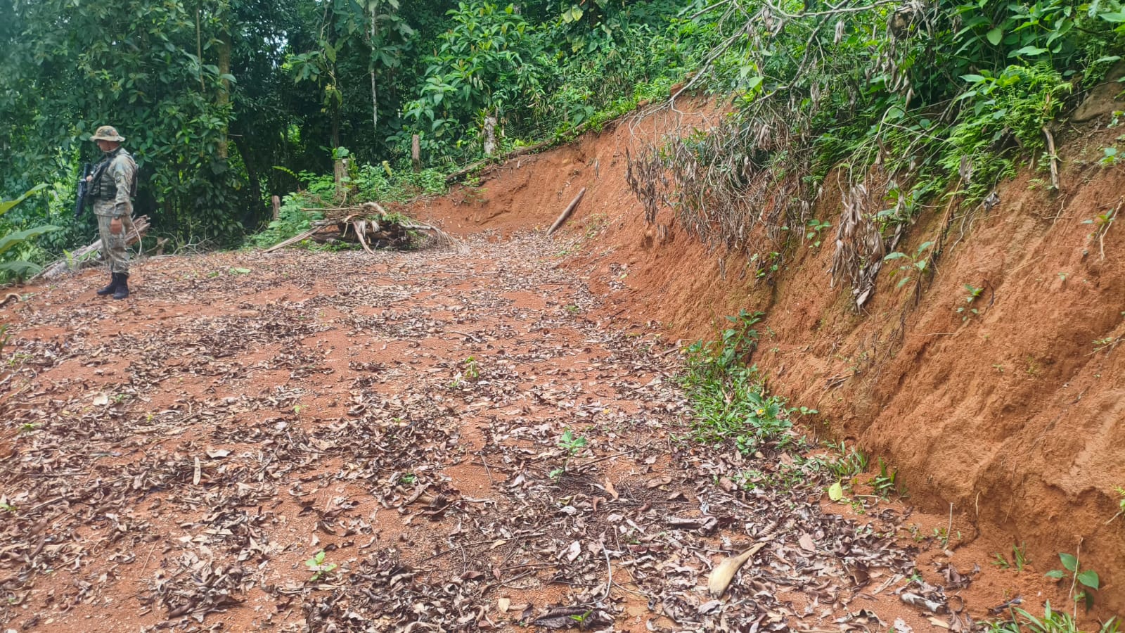 Crime Ambiental em Paraty