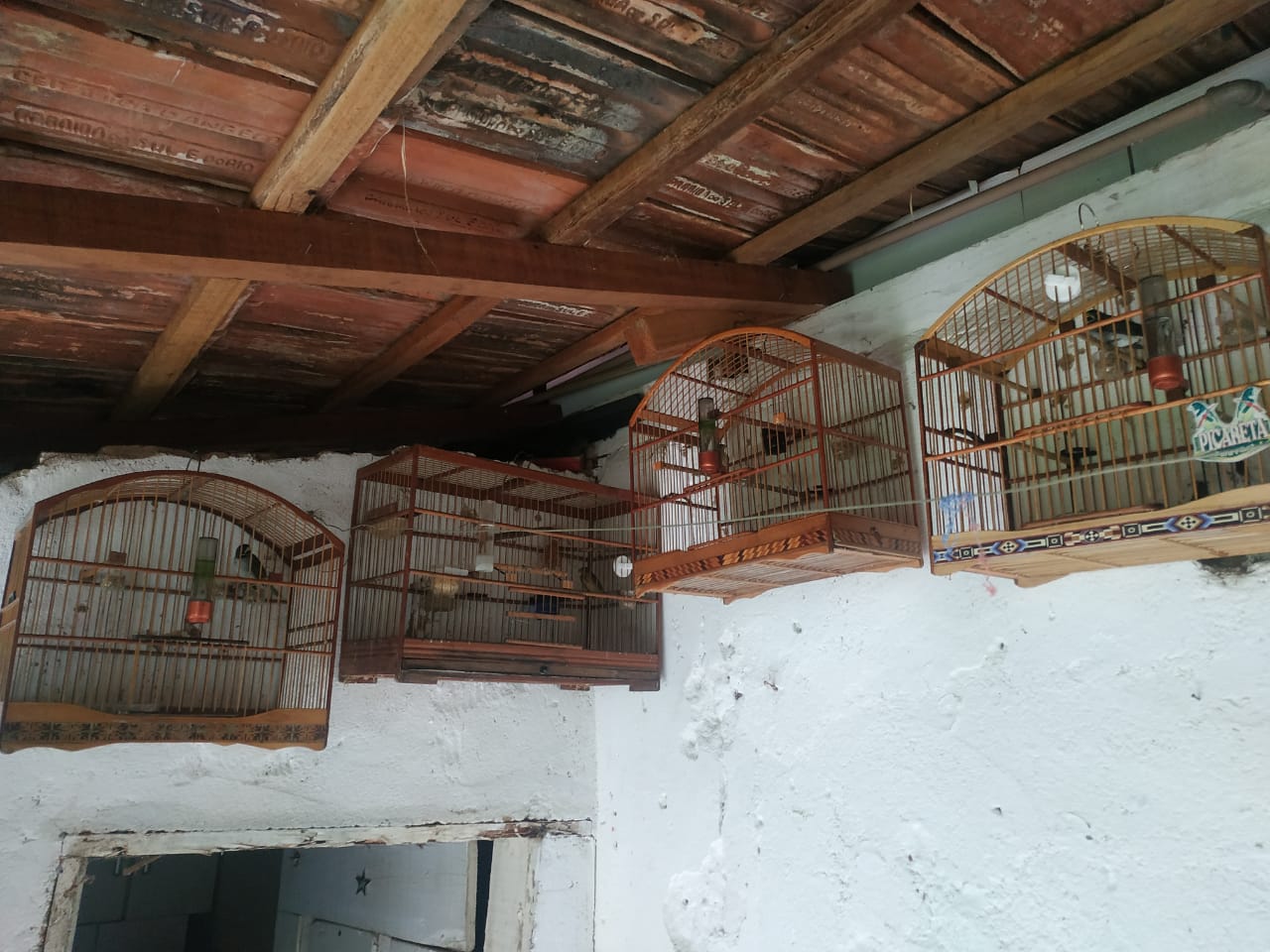 2ª UPAm resgata pássaros de cativeiro em Valença