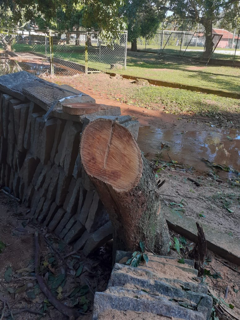 Corte e poda de árvores em Mangaratiba leva polícia à condomínio na Vila Muriqui