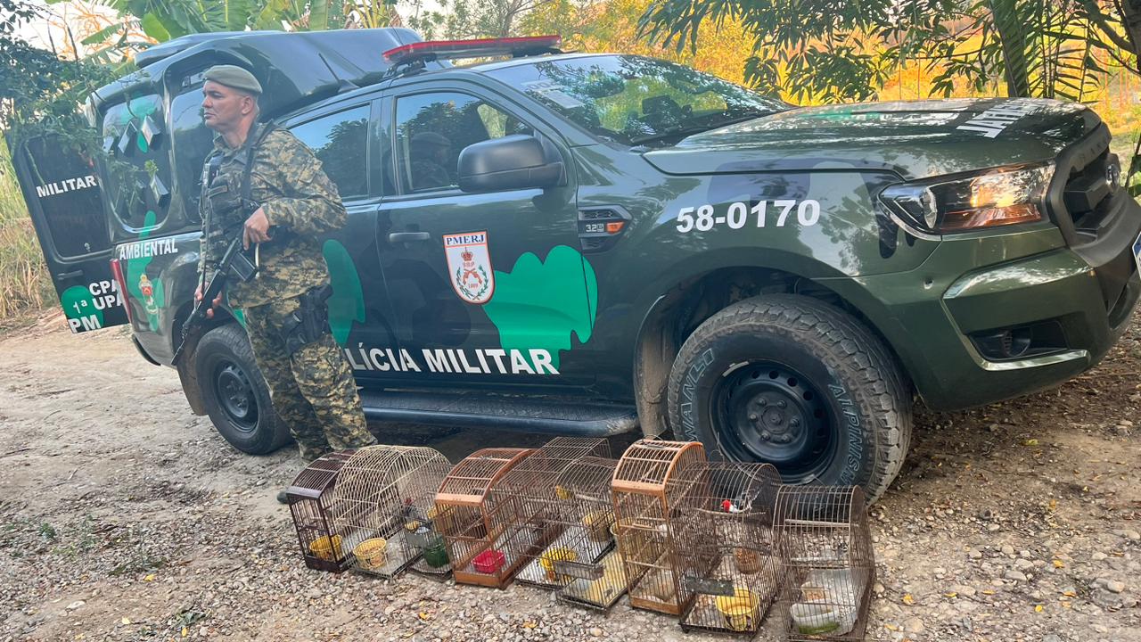 Polícia encontra pássaros em cativeiro no município de Japeri 