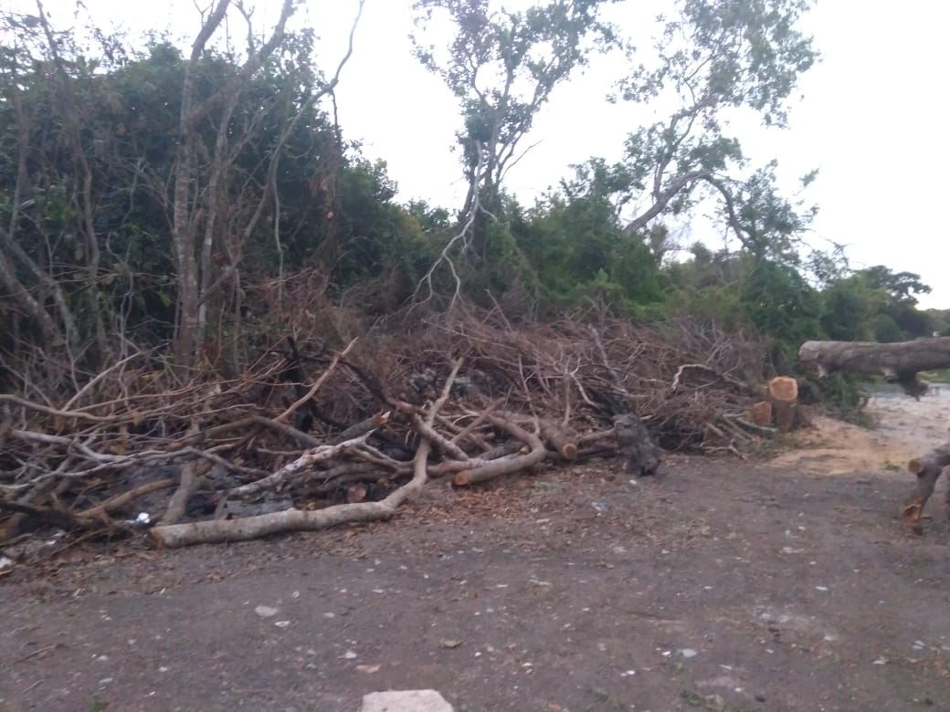 Polícia confirma crime ambiental em área de preservação permanente no município de Maricá