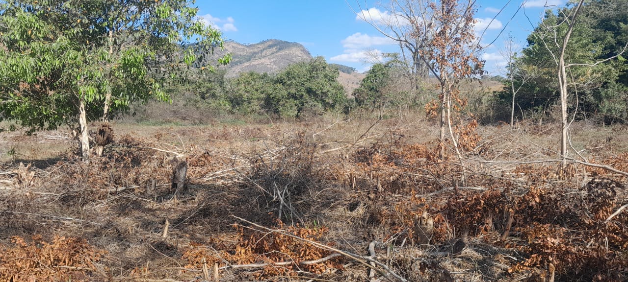 Indícios de desmatamento são encontrados em Natividade após informação do programa Linha Verde