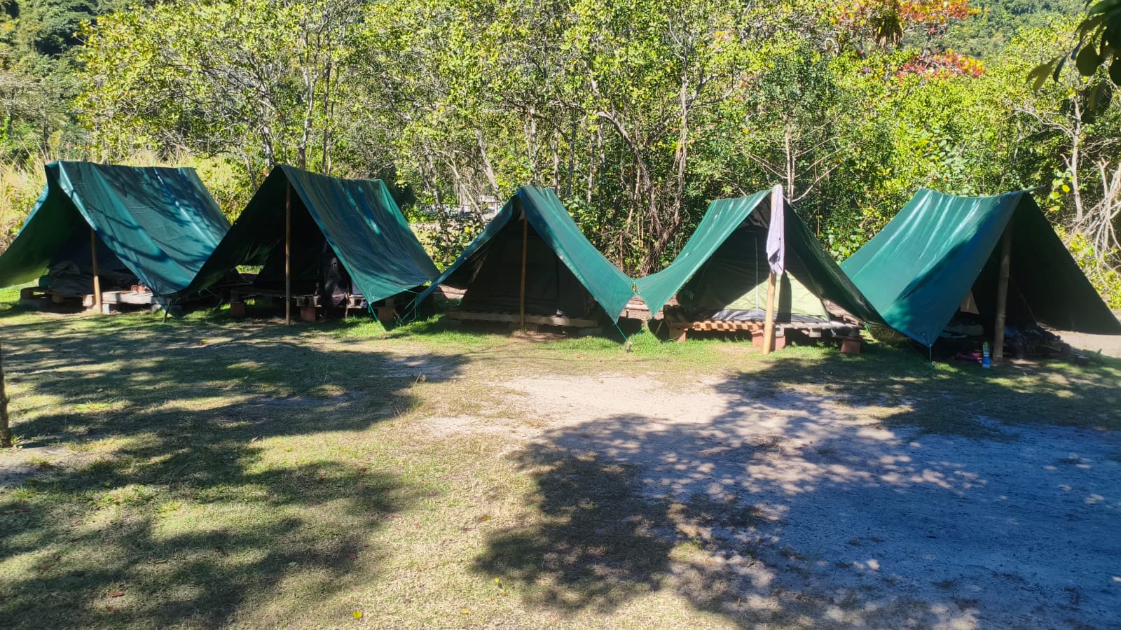 Denúncia sobre desmatamento em área de manguezal faz polícia identificar barracas de camping em Paraty 