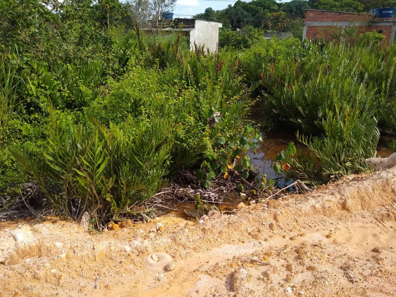 Polícia constata denúncia do Linha Verde sobre assoreamento de manguezal em Magé