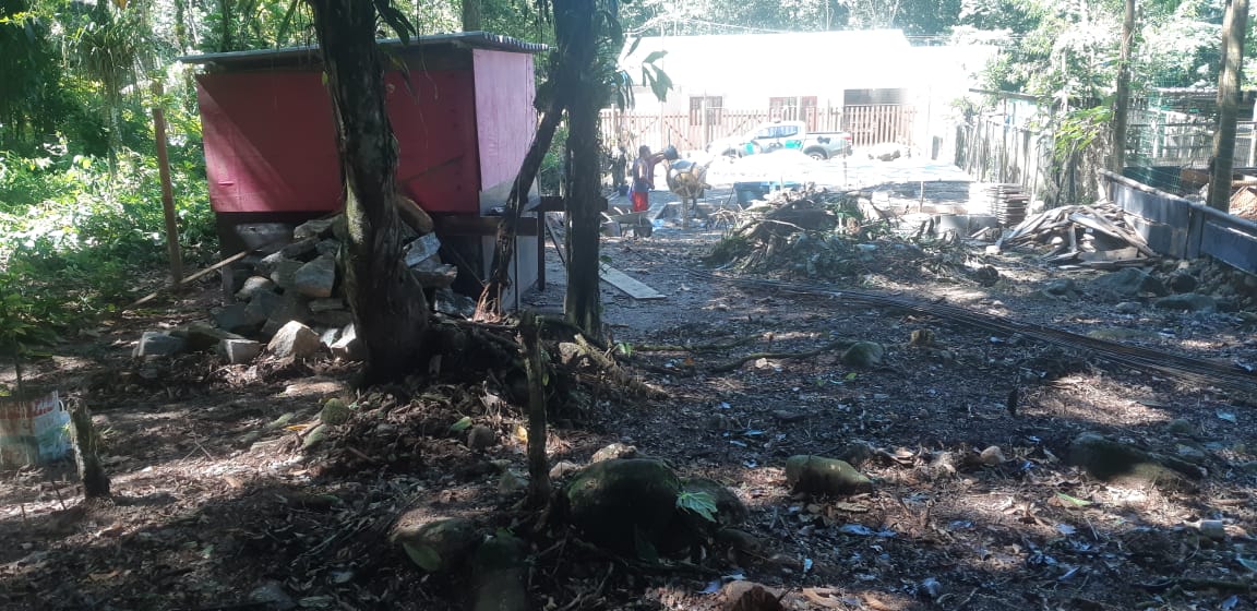 Denúncia leva equipe da 4ª UPAm a flagrar construção irregular e desmatamento em Paraty