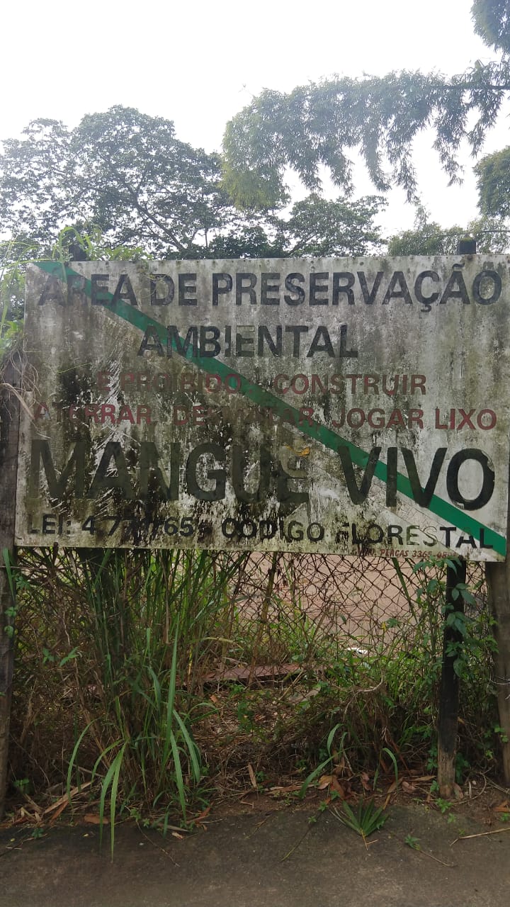 400 m² de área de manguezal degradada é identificada em Angra dos Reis