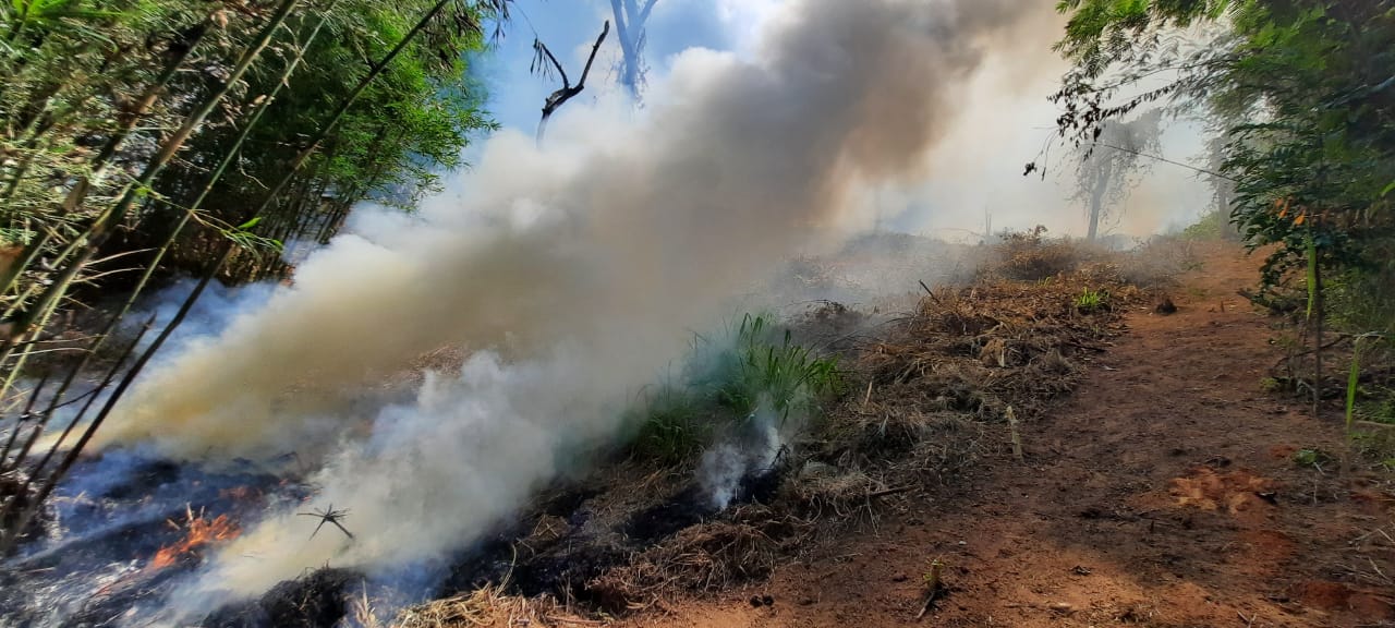 Denúncia do Linha Verde leva UPAm Desengano a flagrar queimada e desmatamento em Itaocara 