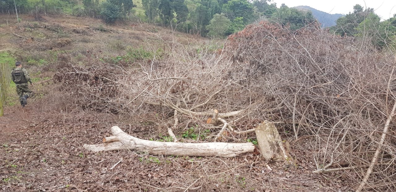 Polícia Ambiental constata denúncia do Linha Verde sobre desmatamento em terreno de 2 hectares no município de São João da Barra