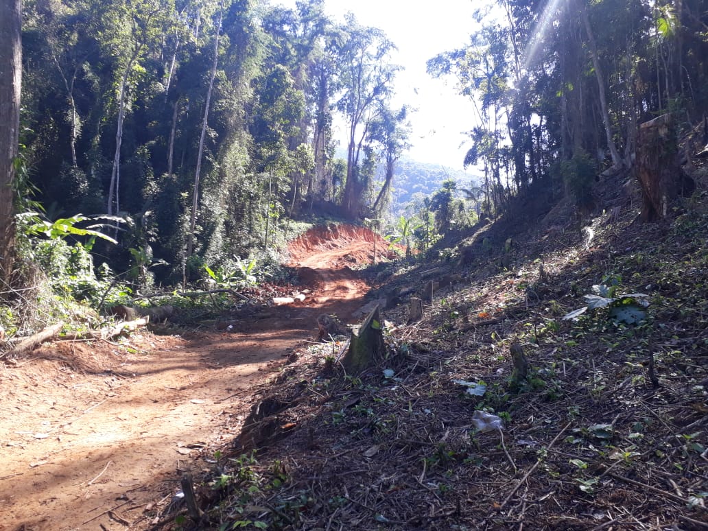 Abertura de estrada ilegal e área degradada de 2 mil metros quadrados são localizadas em área de preservação em Paraty