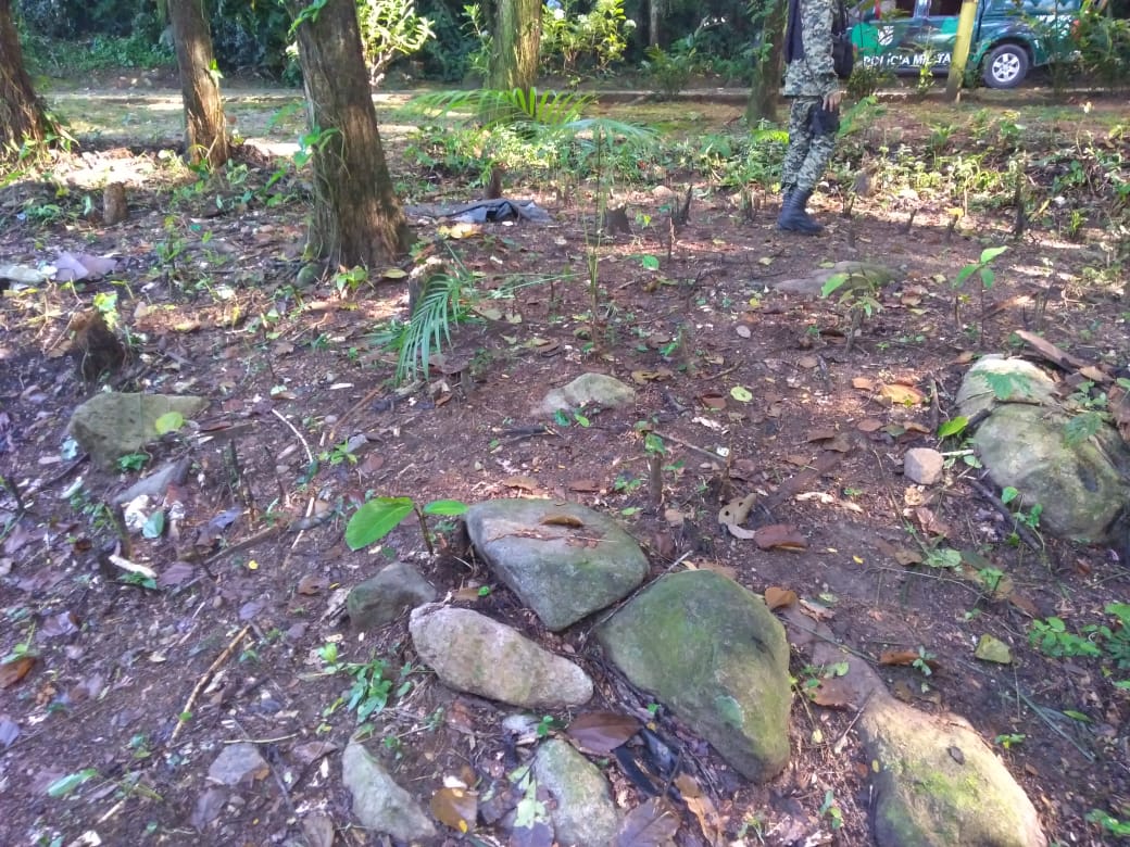 Árvores são encontradas cortadas em condomínio que se encontra na zona de amortecimento do Parque da Serra dos Órgãos, em Guapimirim