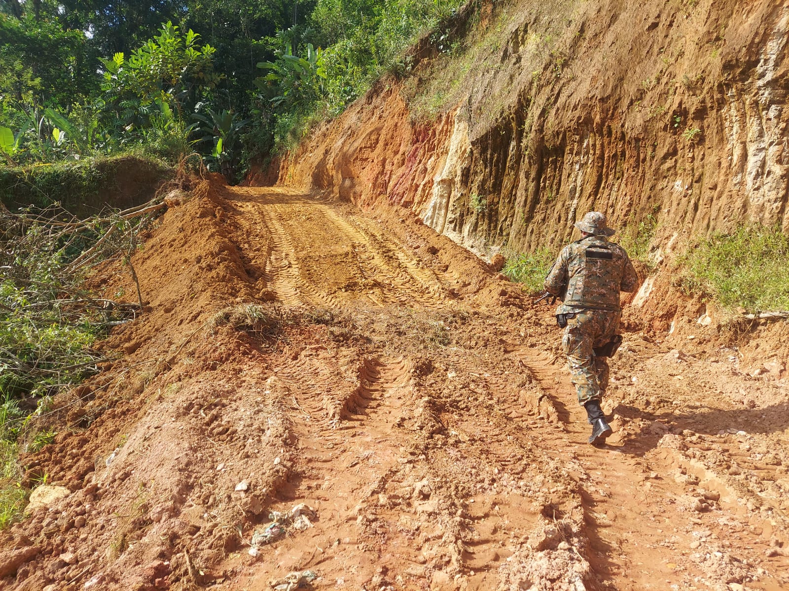 Denúncia ao programa Linha Verde auxilia polícia ambiental a encontrar abertura irregular de estrada e supressão de vegetação no Bracuí