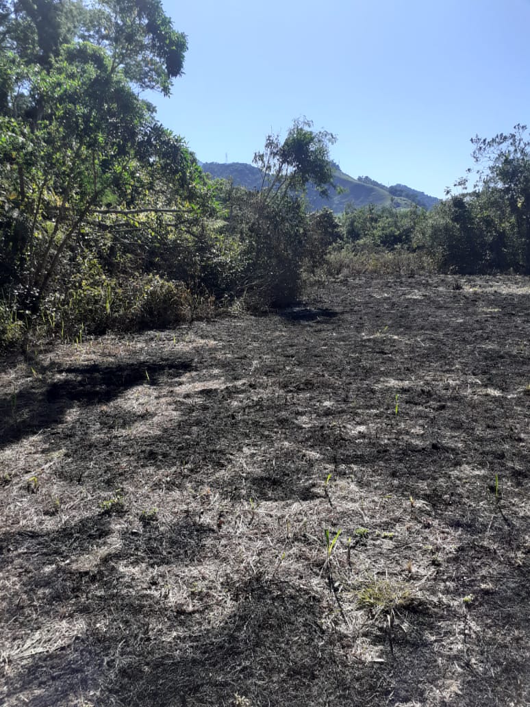 Desmatamento, supressão de vegetação, queimada e abertura de estrada são constatados em Angra dos Reis com auxílio do Linha Verde