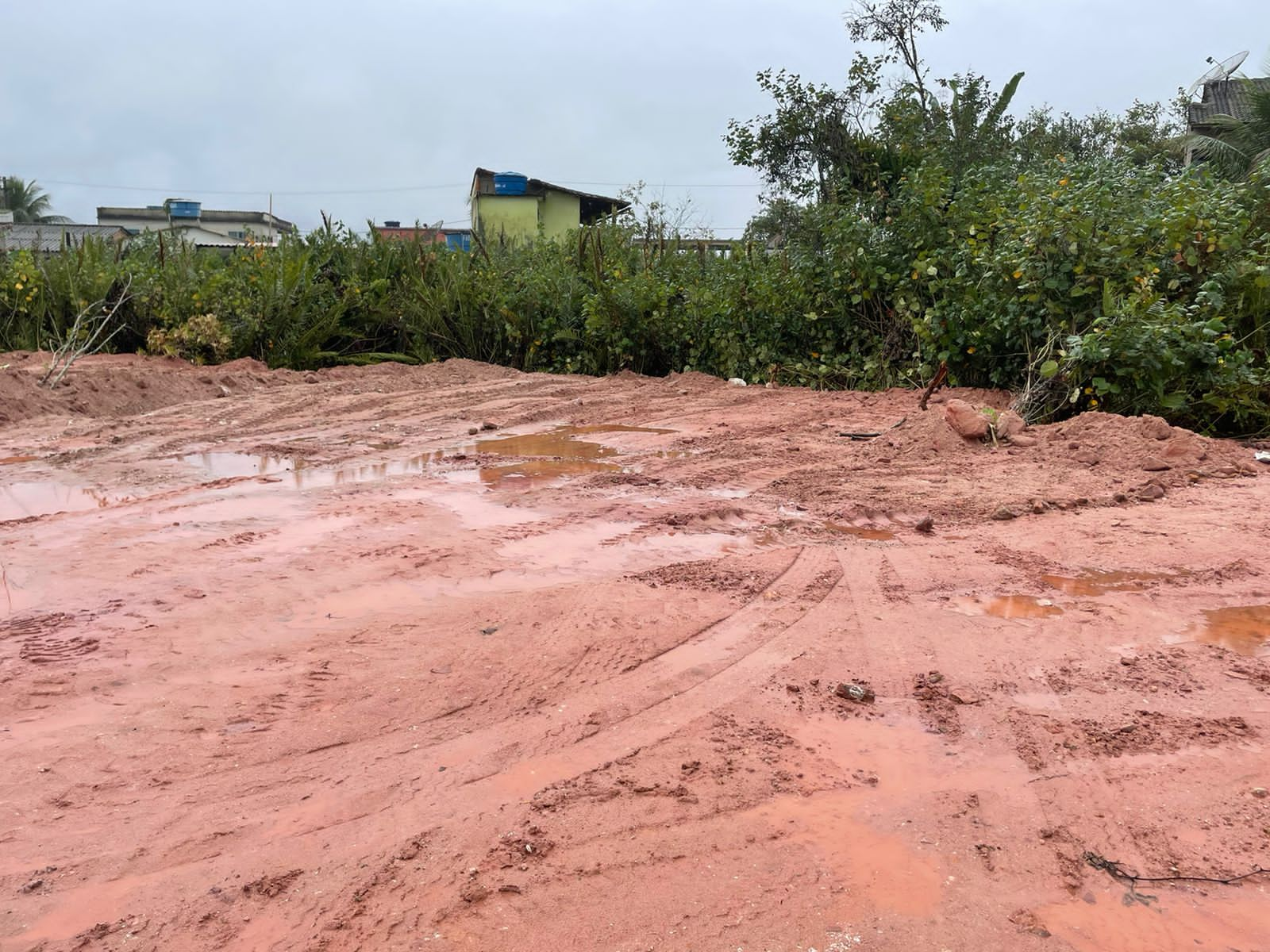 Polícia Ambiental identifica aterro de mangue para construções irregulares em Angra dos Reis