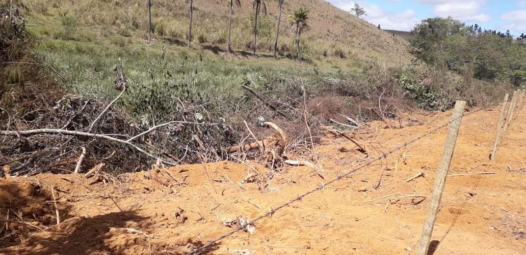 Polícia verifica denúncia do Linha Verde em Laje do Muriaé e encontra árvores arrancadas na Areia Branca