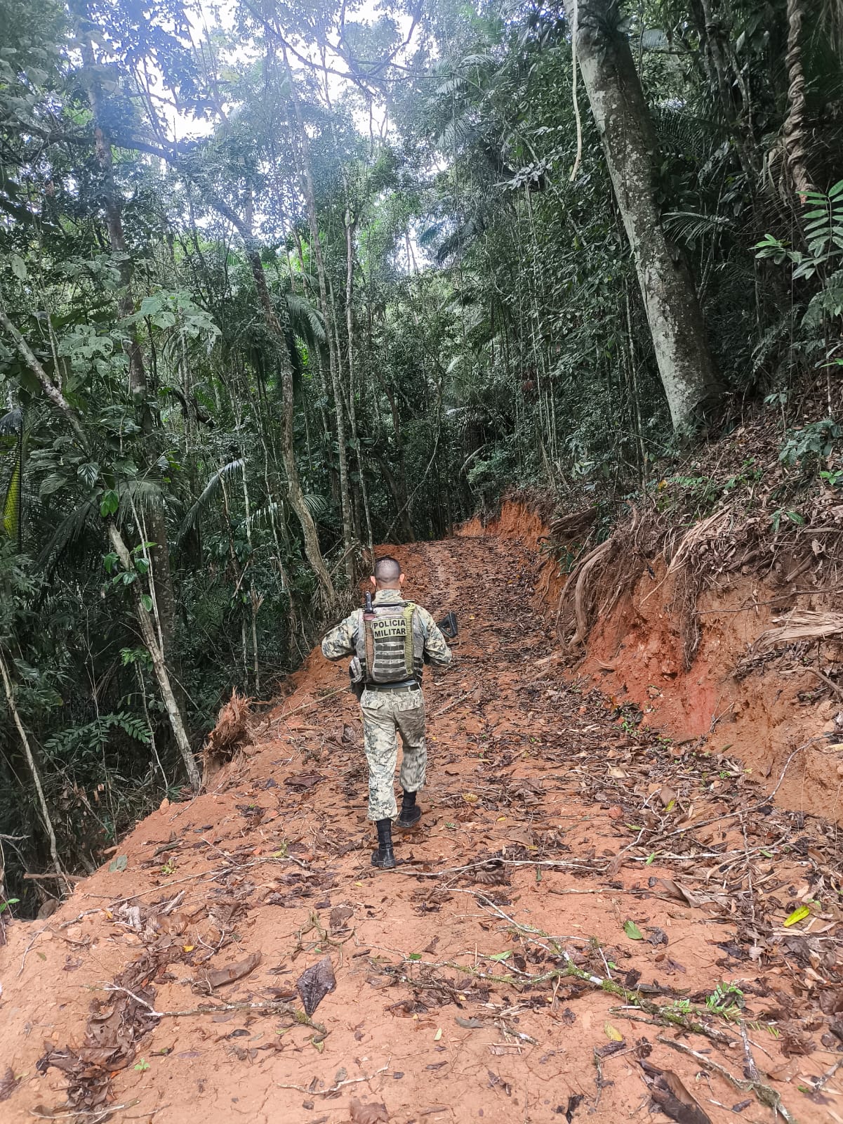 Denúncia feita ao Linha Verde leva polícia a encontrar abertura ilegal de estrada e supressão de vegetação em bairro de Paraty 