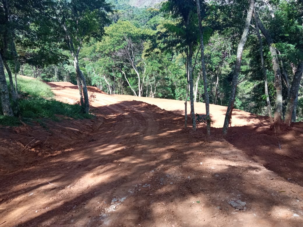 Denúncia do Linha Verde em Petrópolis leva polícia a encontrar área degradada de 9 mil metros quadrados