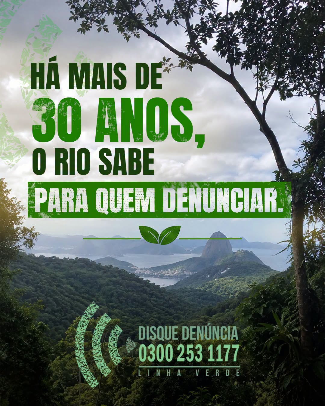 Notícia