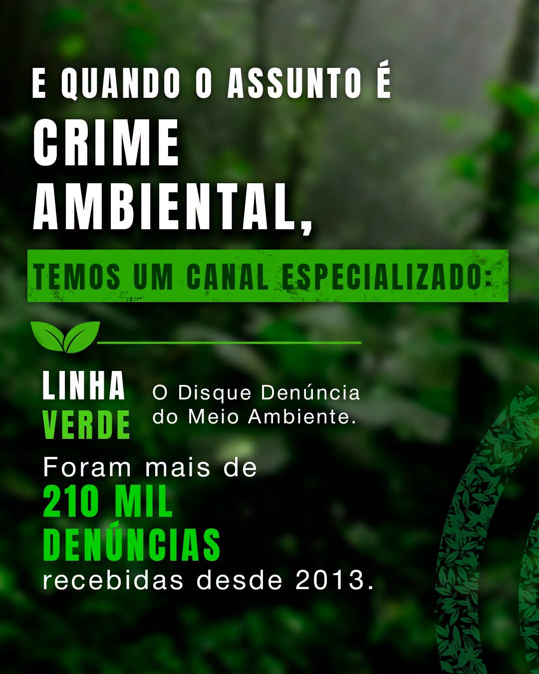 Denúncias de crimes ambientais sobem no Estado do Rio; maus-tratos a animais e queimadas lideram alta