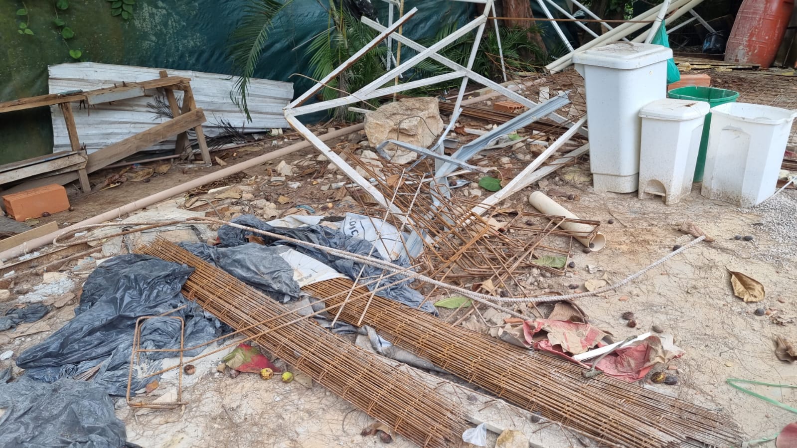 Ilícitos ambientais são flagrados dentro de escola na Barra da Tijuca 