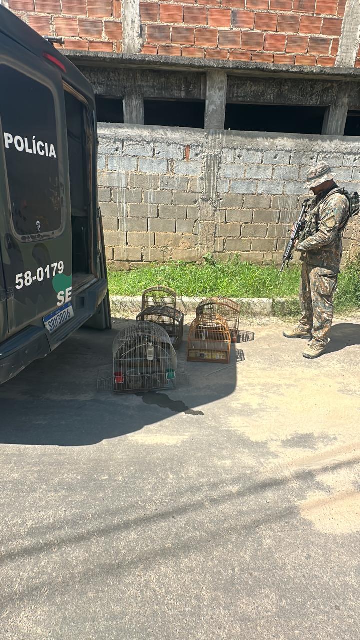 UPAm Três Picos resgata pássaros silvestres de cativeiro em Três Rios 