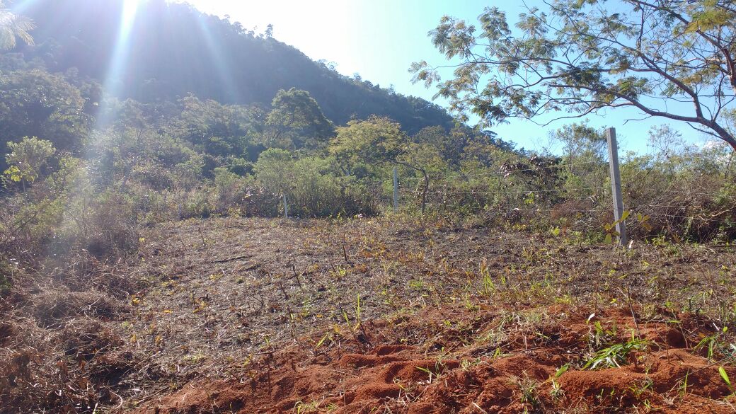 Áreas desmatadas são encontradas em Mangaratiba e Angra dos Reis após denúncias do Linha Verde