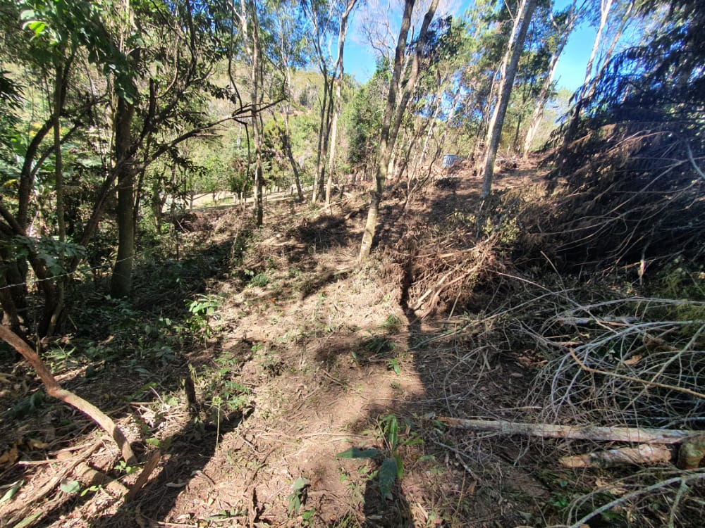Terreno onde houve invasão, desmatamento e corte de árvores foi fiscalizado pela polícia ambiental em Petrópolis