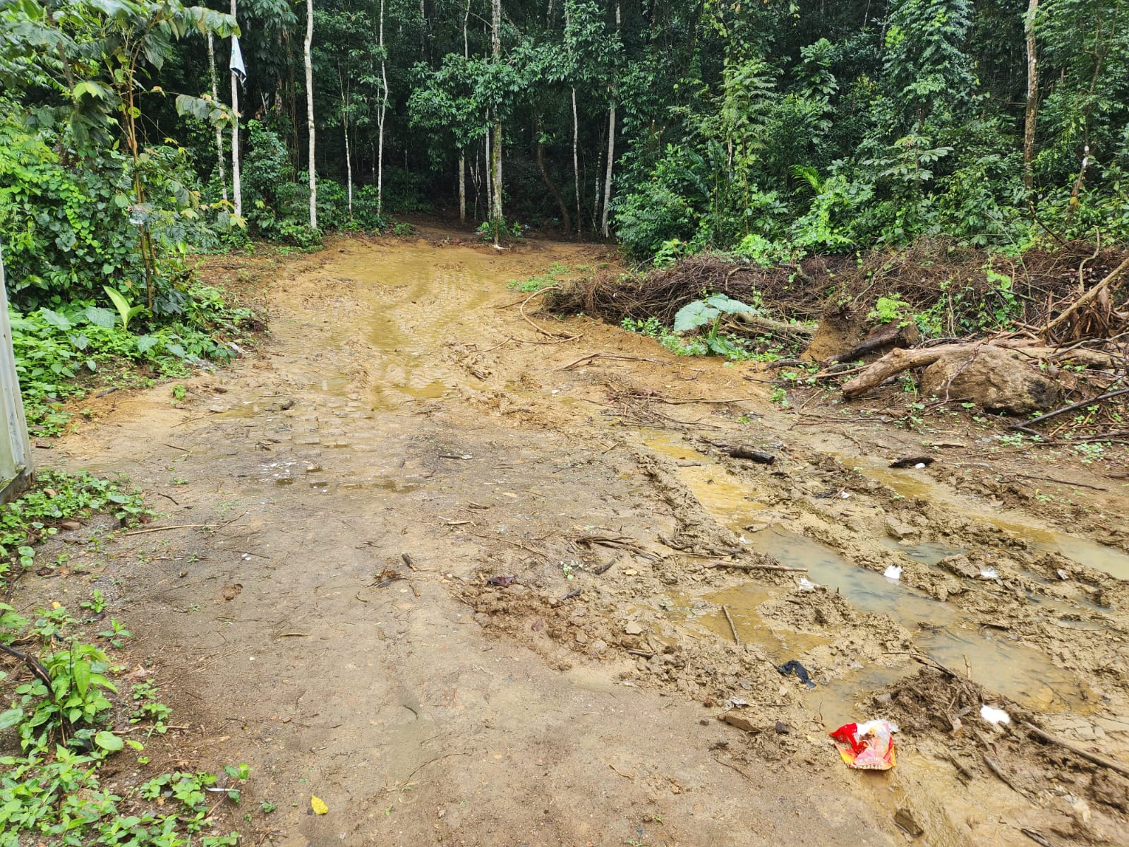 Comando de Polícia Ambiental identifica desmatamento e supressão de vegetação em Duque de Caxias