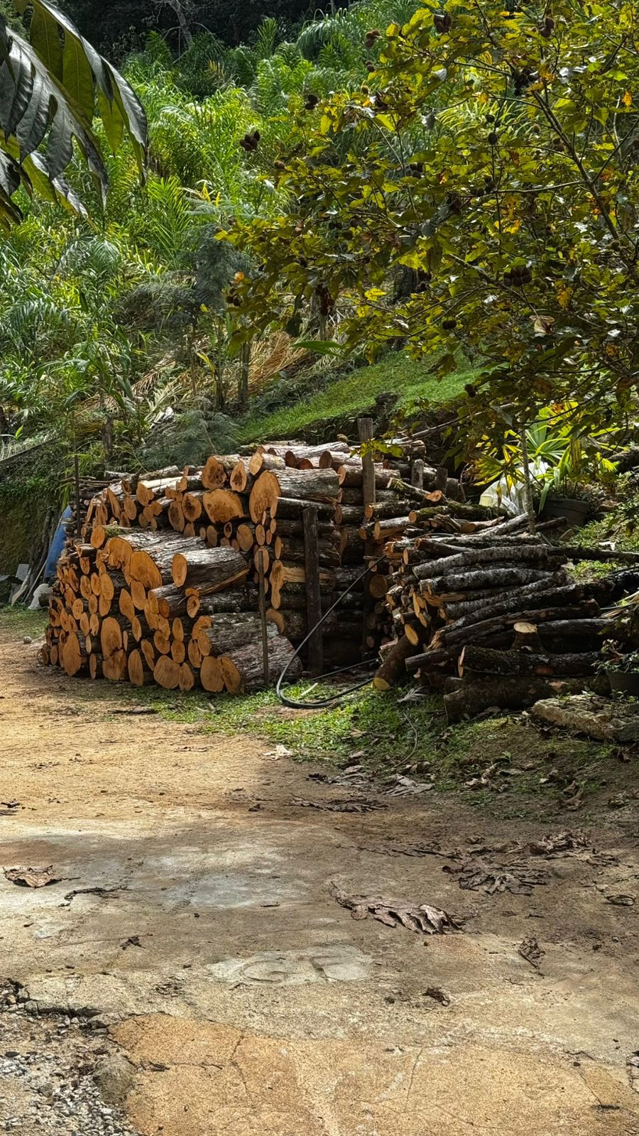   UPAm flagra captação ilegal de água, abertura de estrada e piscina natural ilegal após denúncia feita ao Linha Verde 