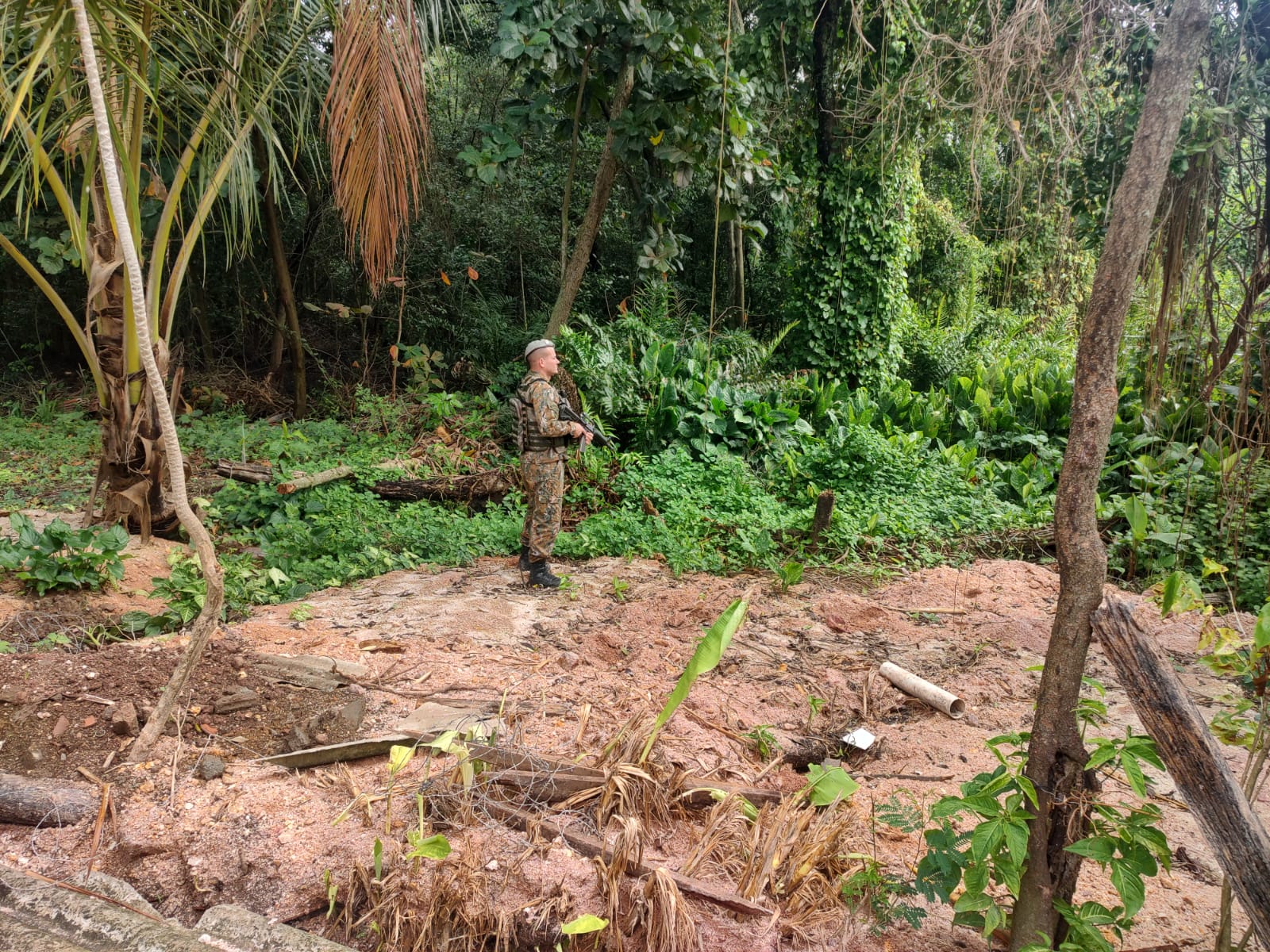 Denúncia ao Linha Verde auxilia polícia na identificação de aterramento de mangue em Guaratiba