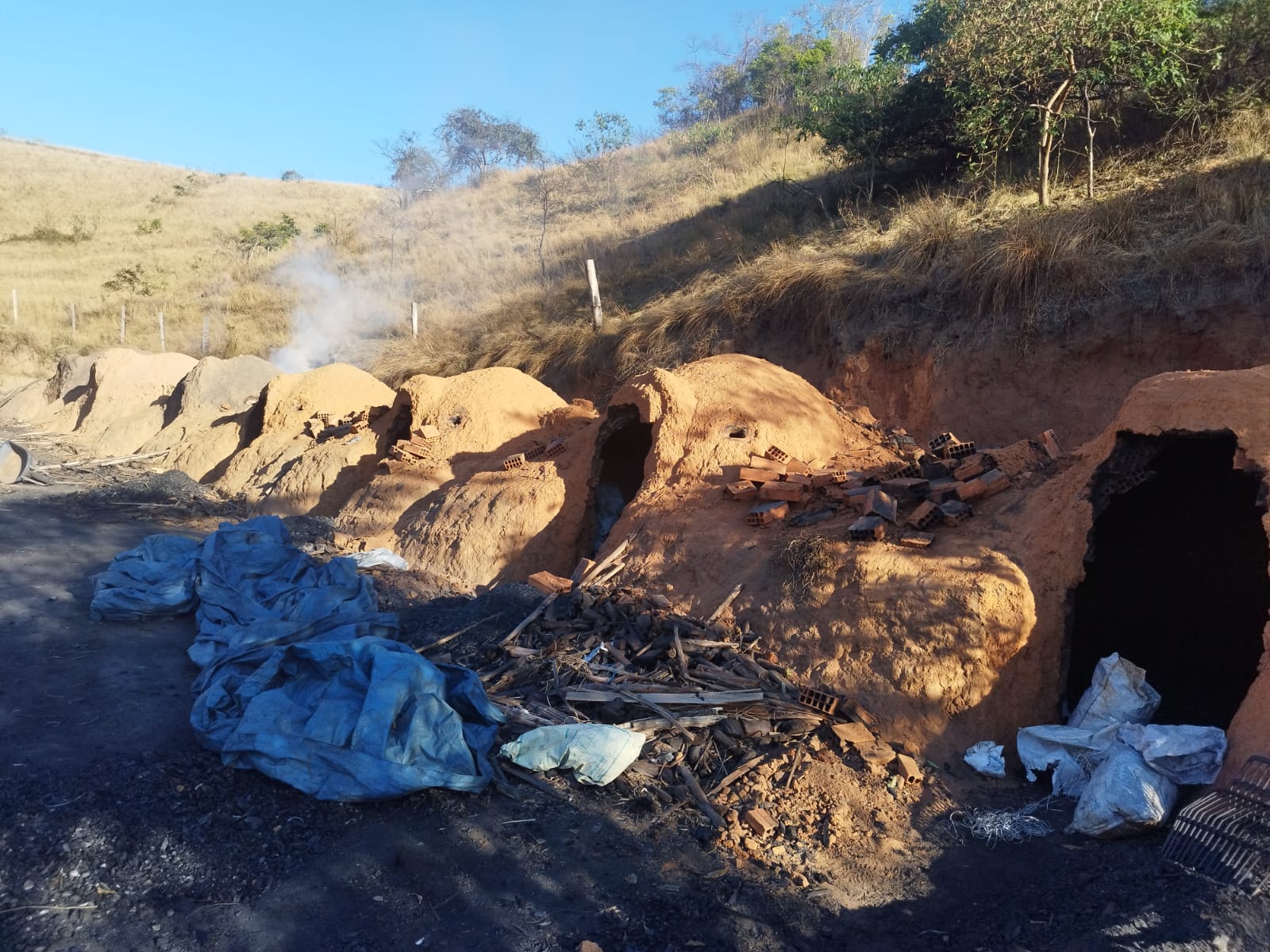 Denúncia ao Linha Verde leva polícia a estourar carvoaria clandestina em Paty do Alferes