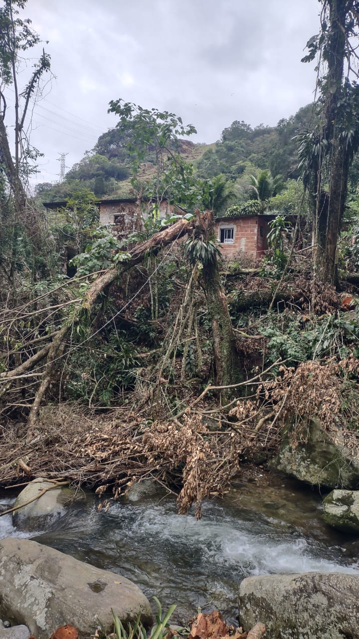 UPAm identifica árvores cortadas próximas a Cachoeira Véu de Noiva, em Mangaratiba, após denúncia ao Linha Verde