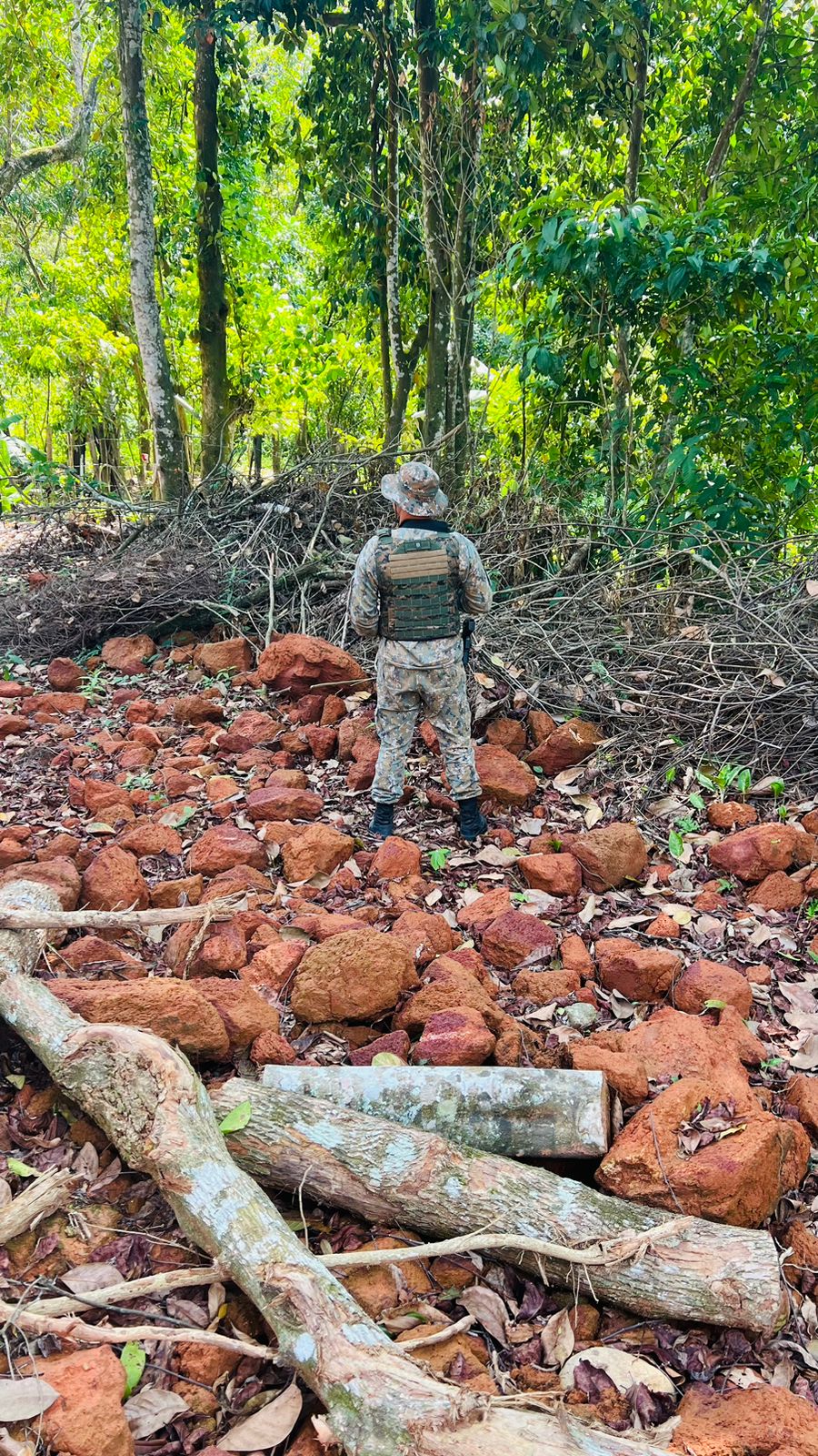 Polícia identifica corte de talude e corte de árvores em Guapimirim 