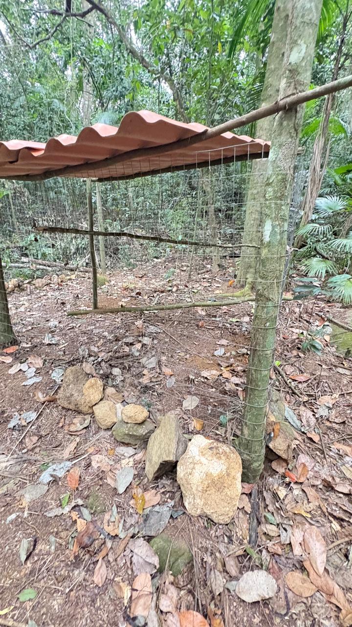 Imagem da Notícia