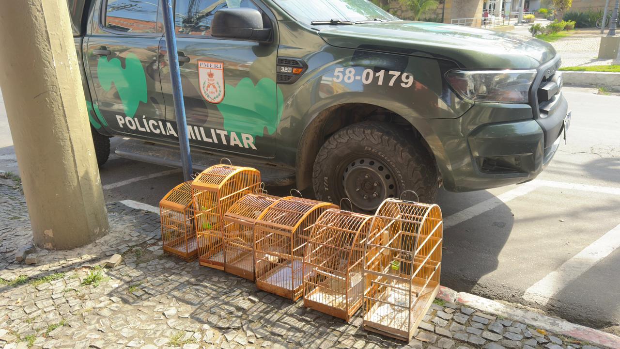 UPAm Três Picos apreende seis pássaros de cativeiro em Paraíba do Sul 