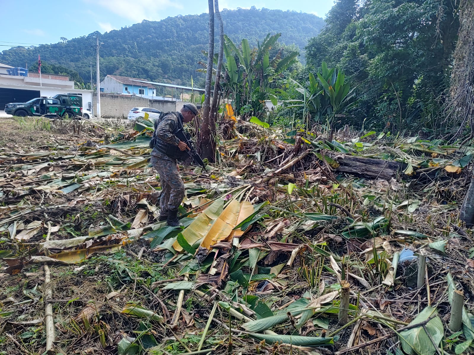 Supressão de vegetação é encontrada em Angra dos Reis com auxílio de denúncia feita ao Linha Verde 