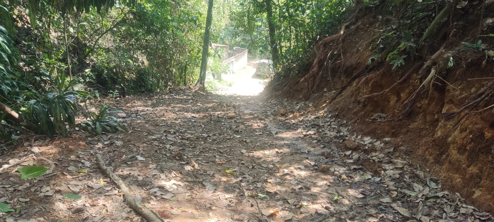 1ª UPAm identifica abertura clandestina de estrada em área de preservação permanente