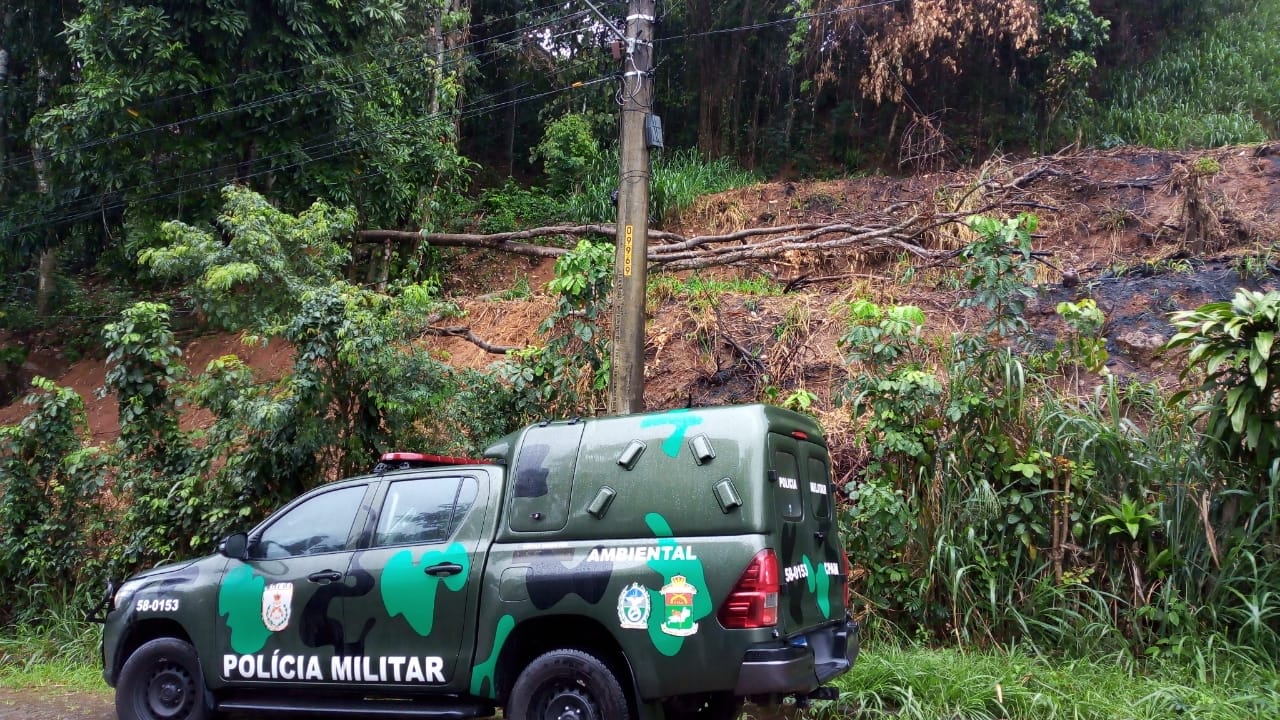 Polícia constata extração mineral, corte de árvores e queimada em área de preservação em Mangaratiba
