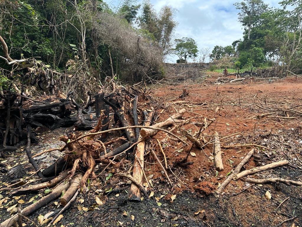 Após denúncia, 6ª UPAm encontra terreno possivelmente invadido e crimes ambientais em Saquarema 