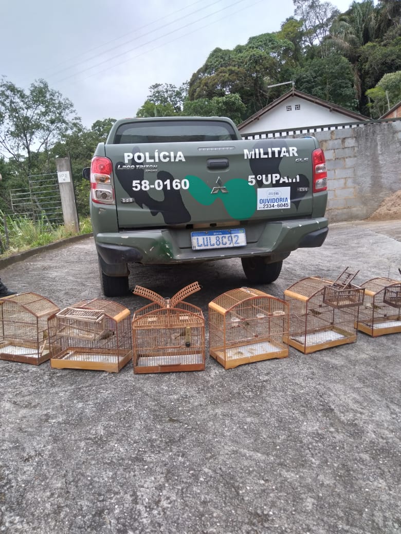 Polícia apreende animais silvestres e alçapões em Petrópolis com auxílio de denúncia do Linha Verde