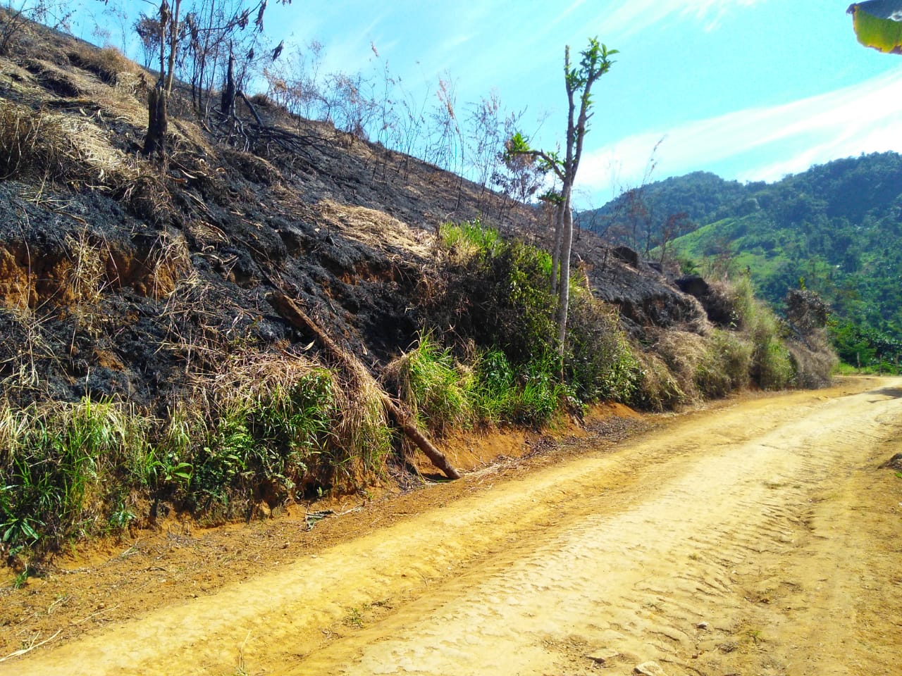 Denúncia de queimada leva polícia ambiental à Paraty
