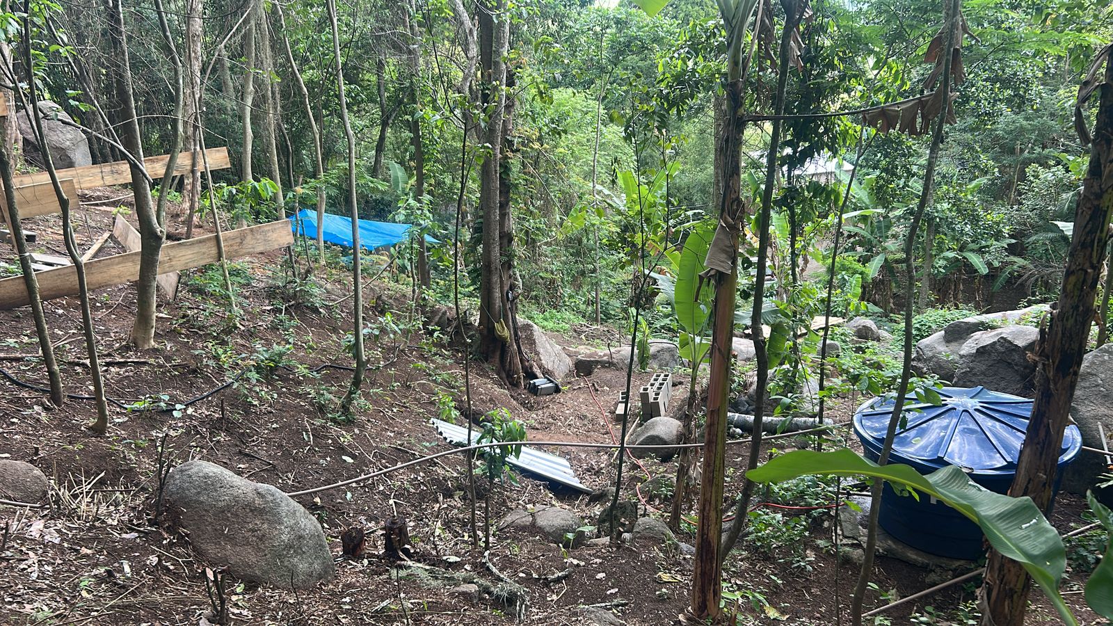 Materiais são apreendidos após denúncia de desmatamento em Guaratiba