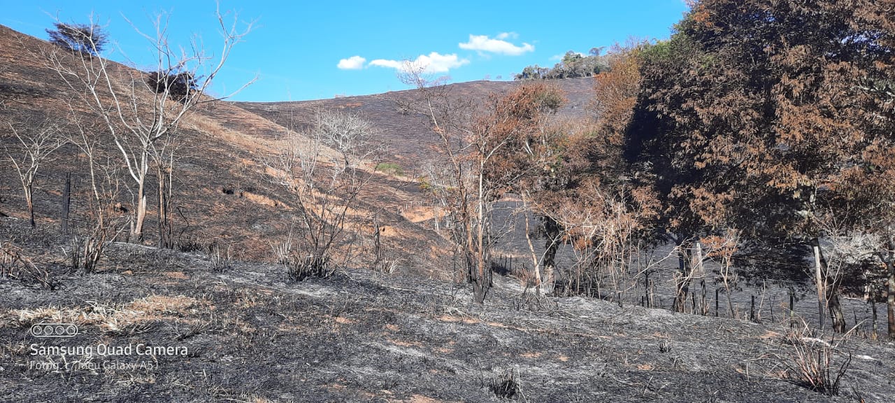 Denúncia do Linha Verde sobre queimadas leva polícia a flagrar área de 100 mil metros degradada em Santo Antônio de Pádua