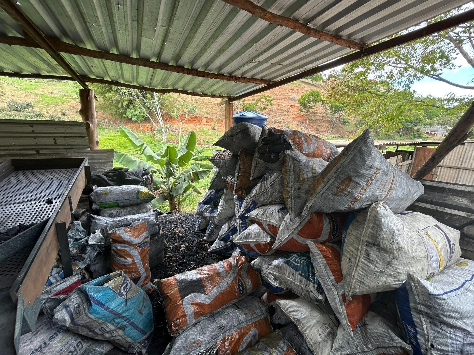 Meia tonelada de carvão produzida sem licença é apreendida em Miracema após informação do programa Linha Verde 