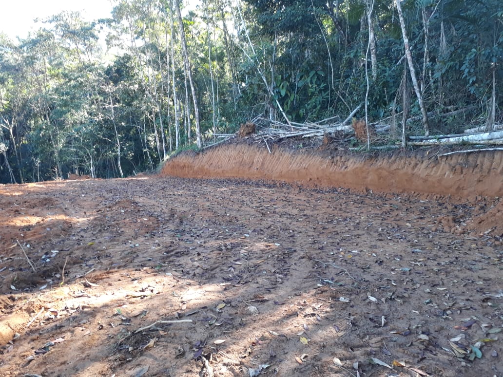 Denúncias de crimes ambientais em Paraty feitas ao Linha Verde levam polícia a identificar mais de 1300 metros quadrados de área degradada