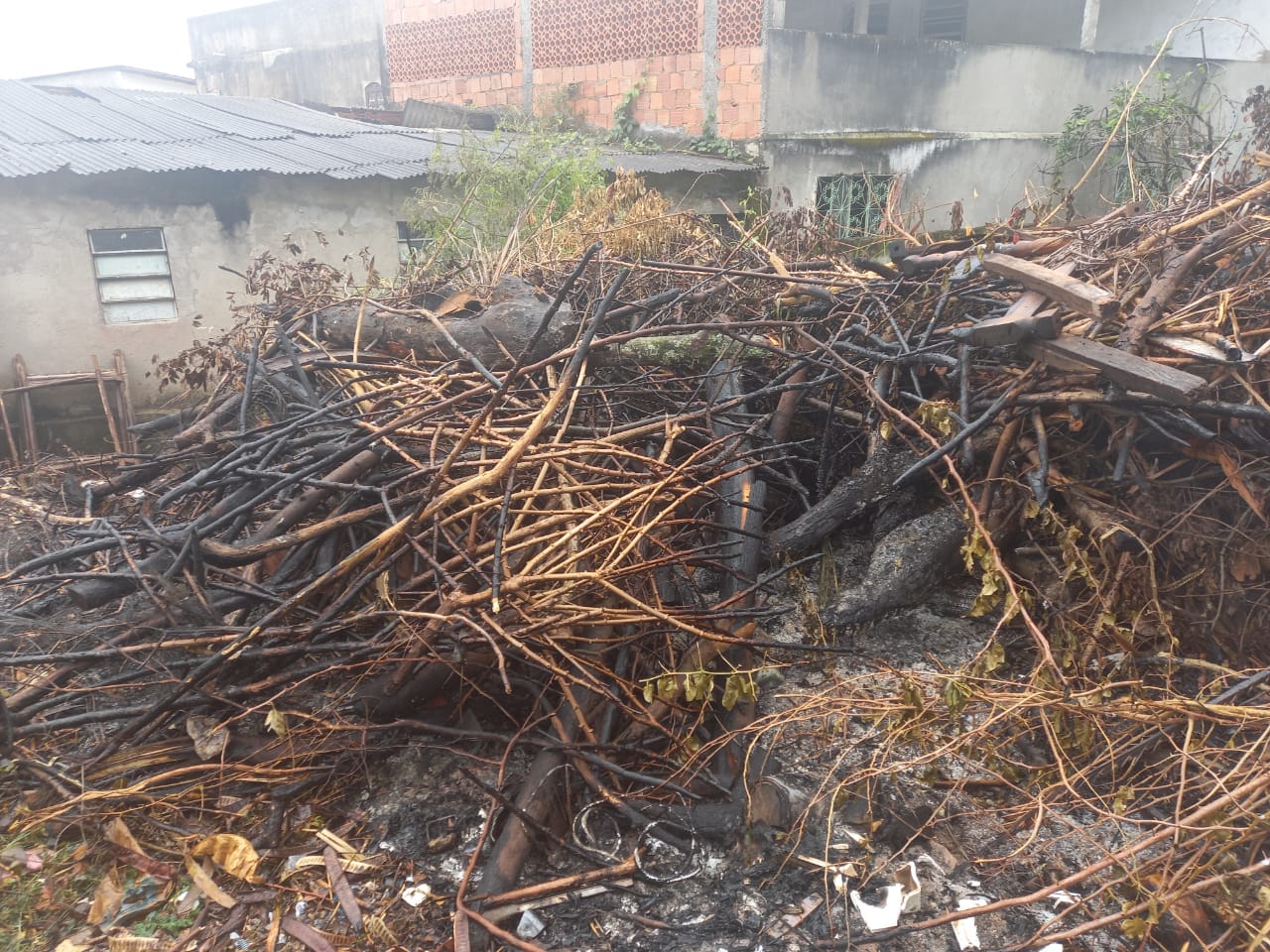 Polícia ambiental flagra indícios de queimada e corte de árvores em Senador Vasconcelos