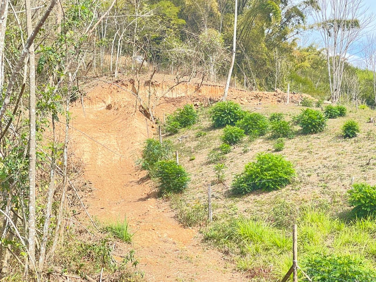 Polícia flagra parcelamento de solo em Areal degradando 30 mil metros quadrados de área